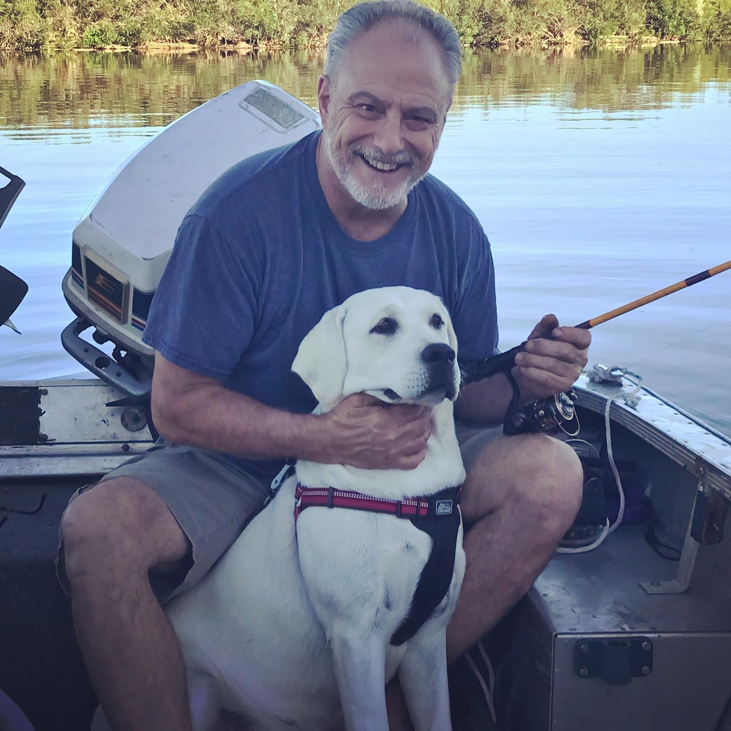 Lily Carver Labradors of Washington